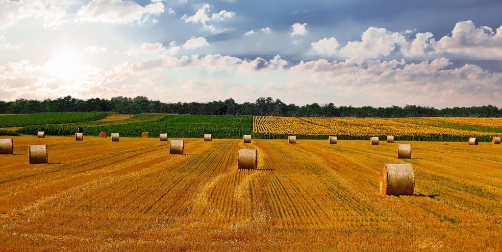countryside, wheat field, bale-4674764.jpg